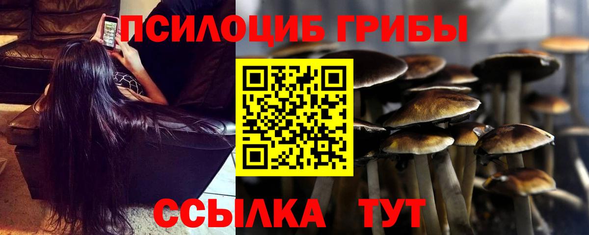 Кириши  Галлюциногенные грибы Psilocybine cubensis  Вход с VPN 